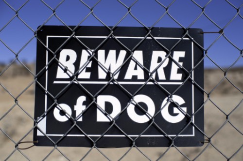 Public vs. Private Property Dog Bite Cases Legal Differences in Arizona